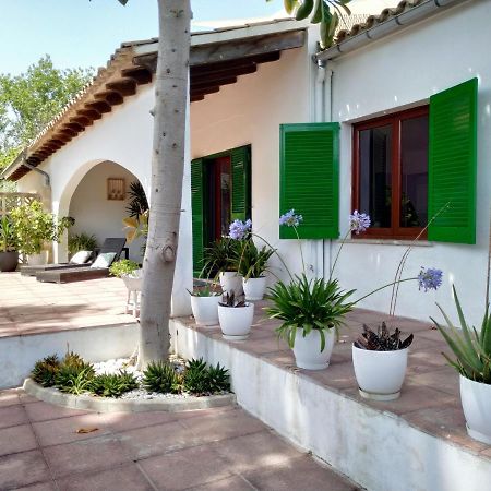 Casa Tritons Villa Port de Alcudia  Eksteriør billede