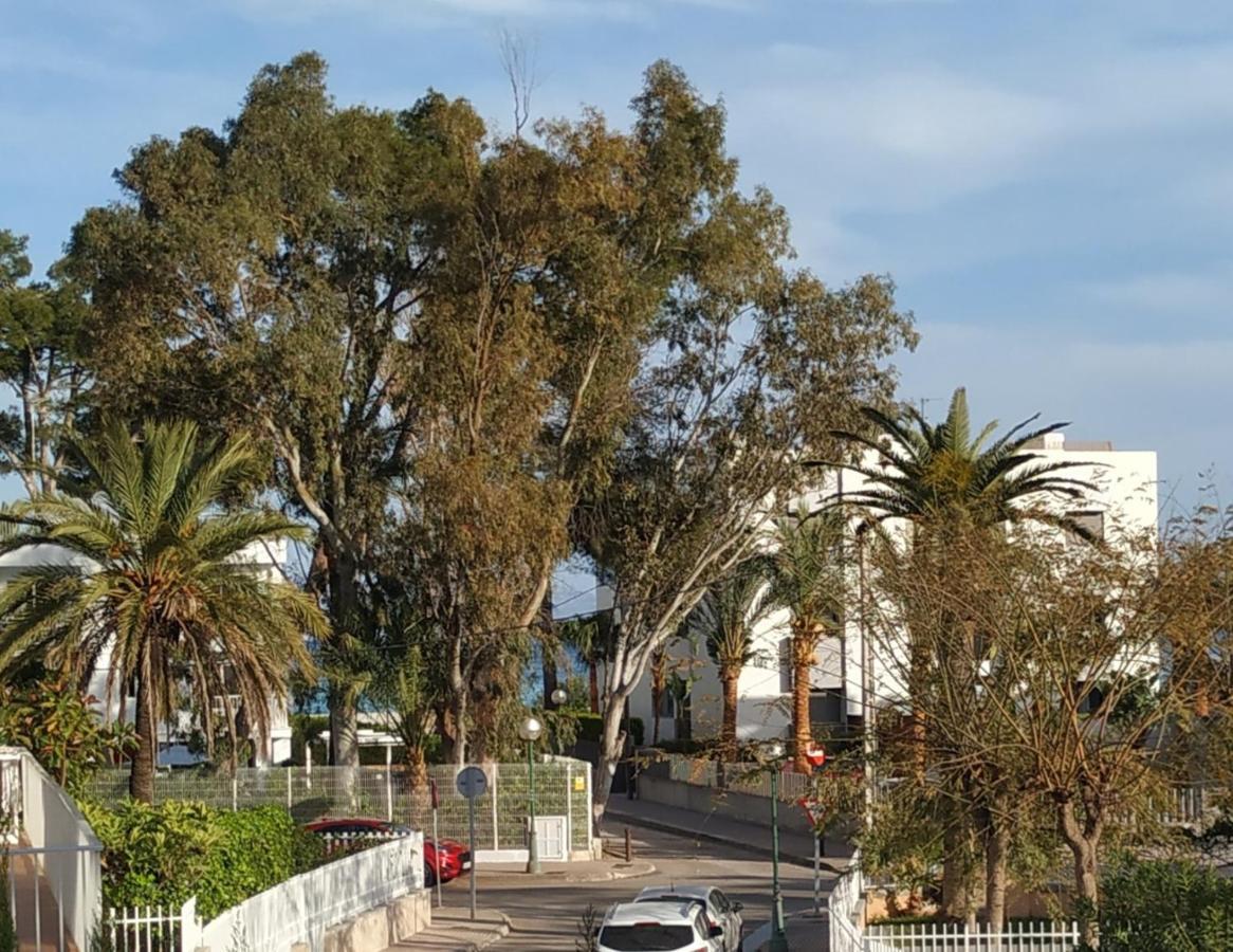 Casa Tritons Villa Port de Alcudia  Eksteriør billede